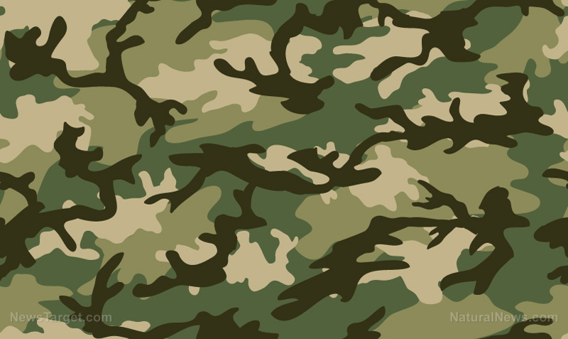  Simple  personal camouflage rules to follow